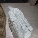 광주024 | [내돈내산]024홈 손님용 3단 접이식토퍼 매트리스 찐후기!!