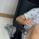 더 그라운드 | [캠핑 의자 추천] 벤딕트 더 폴드 그라운드체어, 집에서도 먼저 써본 후기