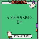 잉꼬세탁소 이미지