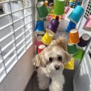 마인드몽 유치원 이미지