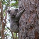 송원초등학교 이미지