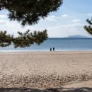 신지명사십리해수욕장 이미지