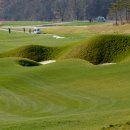 베스타골프 이미지