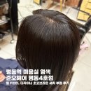 필(feel) | 명동역 미용실 염색 준오헤어 명동4호점 - 필 FEEL 디자이너 초코브라운 새치 뿌염 후기