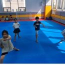 내체력 태권도장 이미지