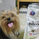 펫몽 | 러브잊독님의 펫몽 이벤트 후기에요~^^*