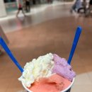 코엑스 젤라또 맛집 솔직후기 [빨라쪼델프레도]