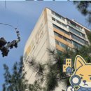 신아우성 이미지