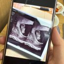 첨아각 | (2025-8) 불타버린 2-3