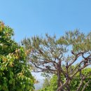 물꽃나무 펜션 이미지