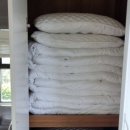 여울애견펜션 이미지