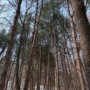 백둔리 주차장 이미지