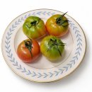 대저팜 | 제철과일 부산 대저짭짤이토마토 온라인주문배송 후숙 보관방법 영양정보 알려드려요