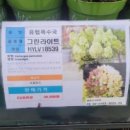 산마루가든센터