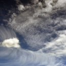 물의 기억 이미지