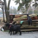 고궁민박 이미지