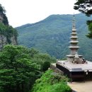 종근축산 이미지