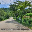 솔향 공인중개사사무소 이미지