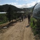 생곡리농장 이미지