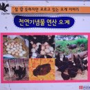 오계농장 이미지