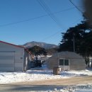 신촌농장 이미지