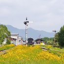 기차마을 장미공원 이미지