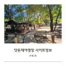 29-C | 닷돈재자동차야영장 사이트별 특징, C-29 후기