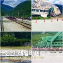 구절리역 | 강원도 정선 레일바이크 예약 위치 시간 애견 가볼만한곳