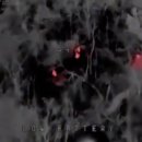 unclear how many uh Ukrainian soldiers are trapped 이미지