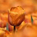 더아트복싱클럽 이미지