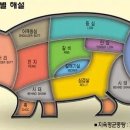 영유통 이미지