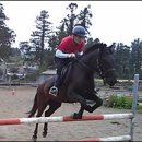 가라월라 이미지