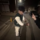 신봉안길 네이버블로그