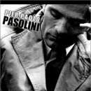 돼지우리 이미지