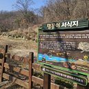 원적산공원 유아숲체험원 이미지