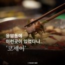 응암카서비스 | 응암동에 이런 곳이? 일식 다이닝 코세이 데이트 맛집