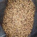 천종농장 이미지