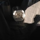 펫이동서비스 이미지