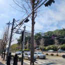 성산부동산119공인중개사사무소 이미지