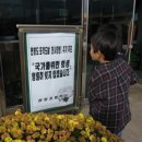 관창초등학교 이미지