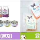 윤펫