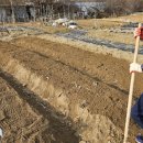 상상농장1 이미지