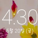 차가미소짓는곳 이미지