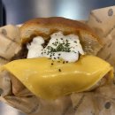 에그 셀런트 이미지