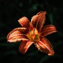 J골프존스크린 이미지