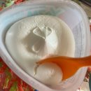 이박사동물병원 | 머리가 뽀글거려 수습이 안되는 사람의 긴 일기