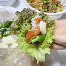 싱싱활어회 이미지