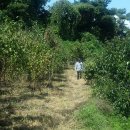 구산체육관 이미지