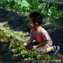 한터농장 이미지