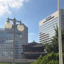 무지개약국 | [남대문 약국 성지] 왕솔약국 내돈내산 리뷰 (구매 추천템, 온누리 상품권 꿀팁)